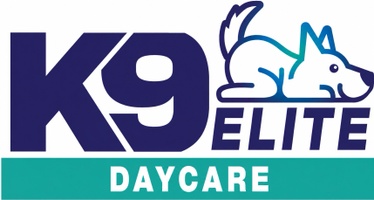 K9 Elite Dog Training