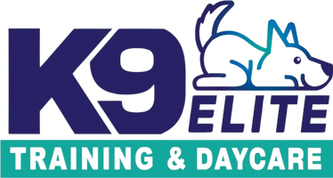K9 Elite Dog Training