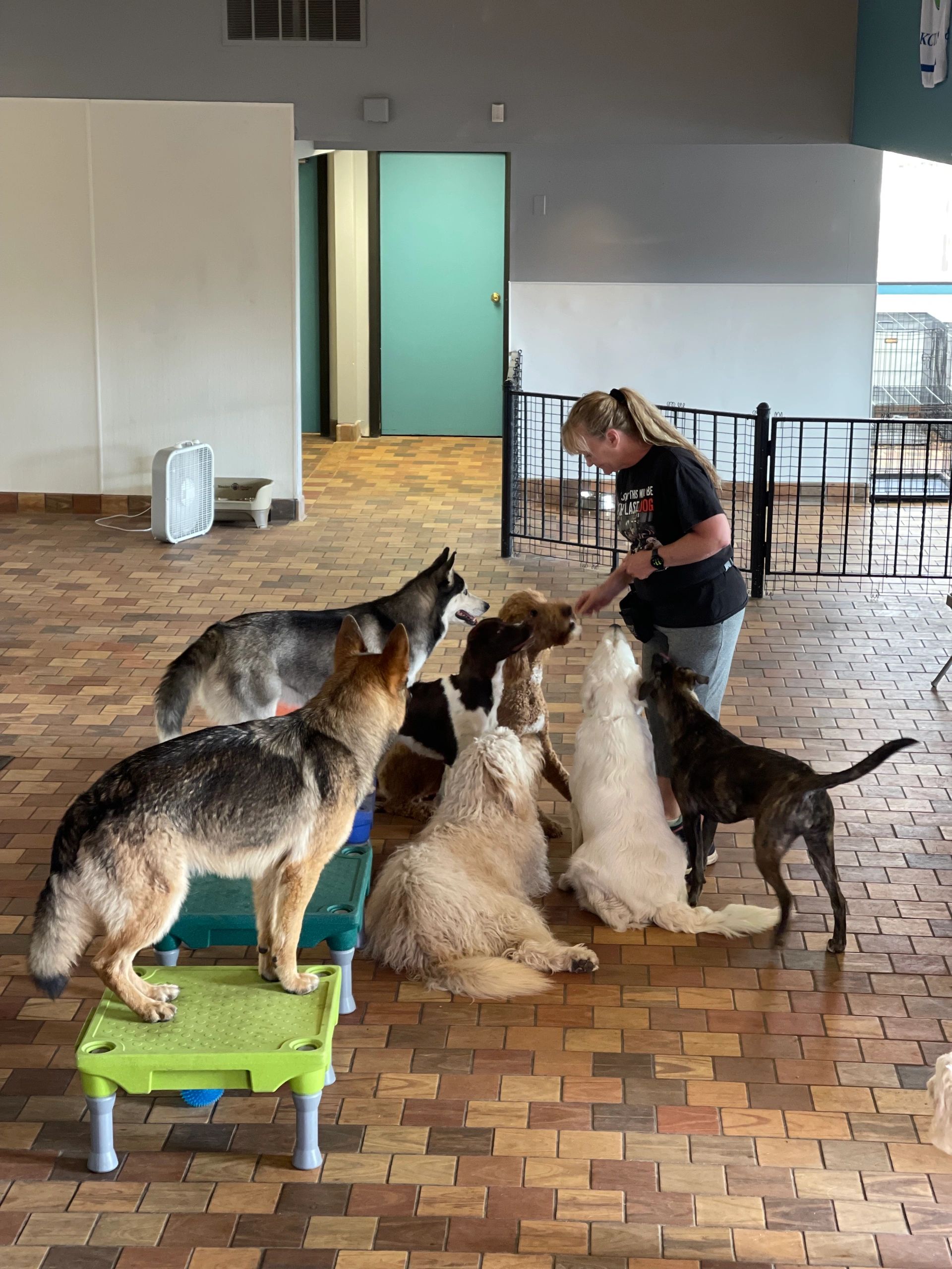 K9 Elite Dog Training Home