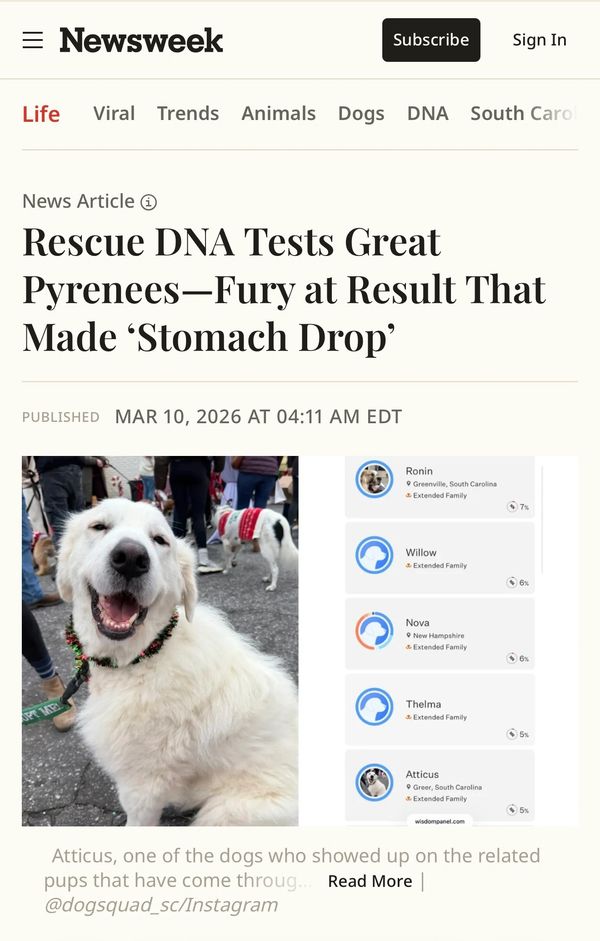 Newsweek article on Great Pyrenees DNA test results.