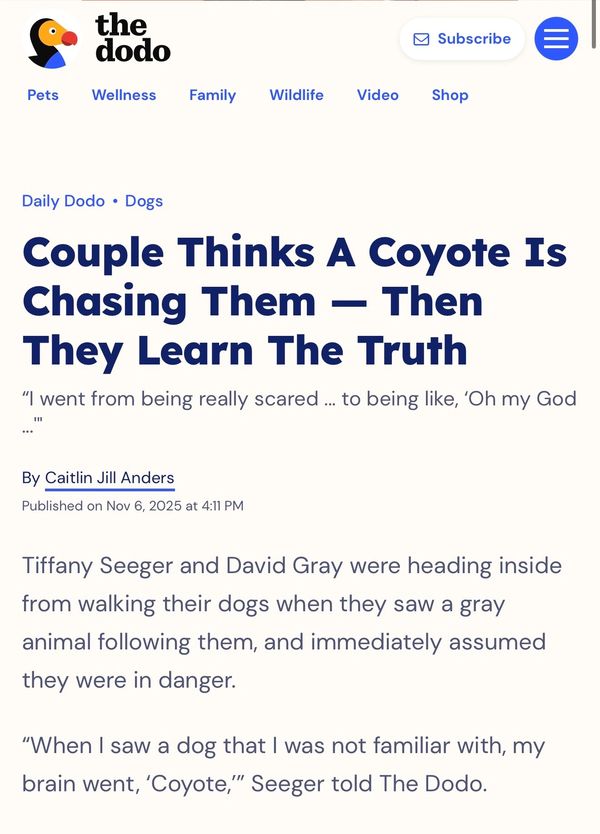 Article about a couple mistaking a dog for a coyote.