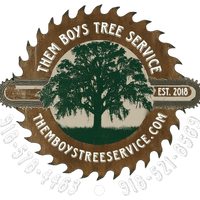 Them Boys Tree Service