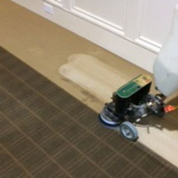 Carpet Cleaning