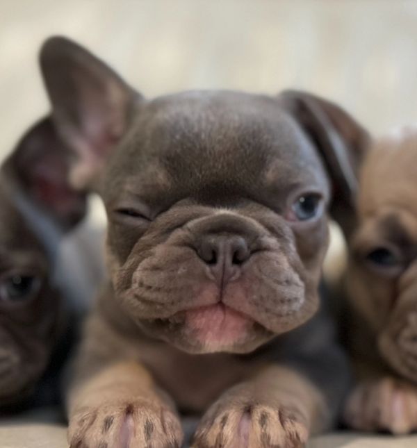 Don’t pass us up for a good time 😉 