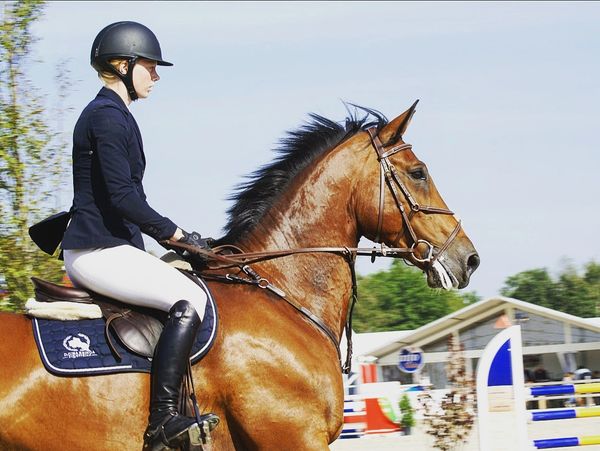 Eringa Equestrian
Elandro D
Jumping Tolbert