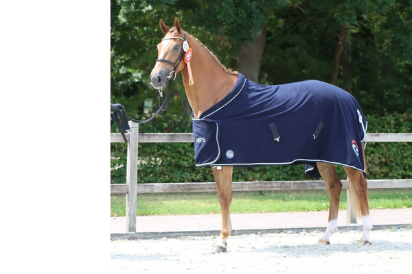 Eringa Equestrian
Nadeshgranta SAG
Kampioen NRPS keuring