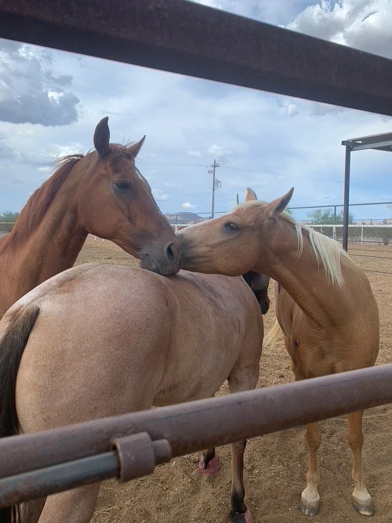 West Desert Ranch