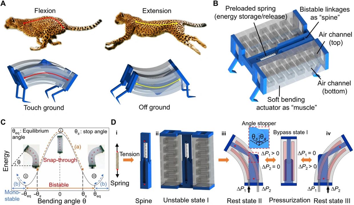 leap project , cheetah robot, fastest robot, latest biomechanic robot