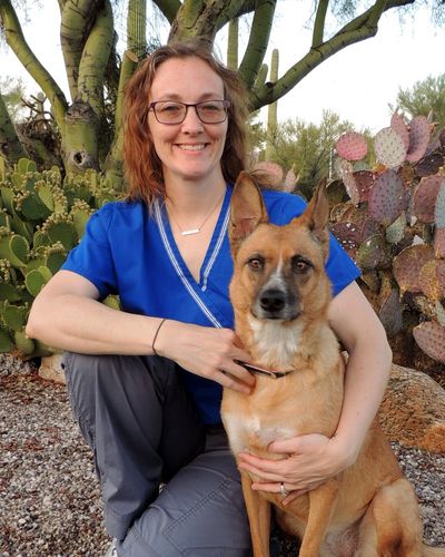 stage road animal hospital online store