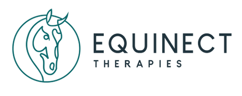 Equinect Therapies