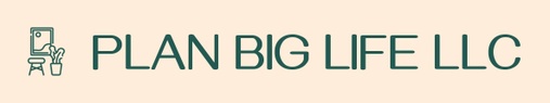 PLAN BIG LIFE LLC
