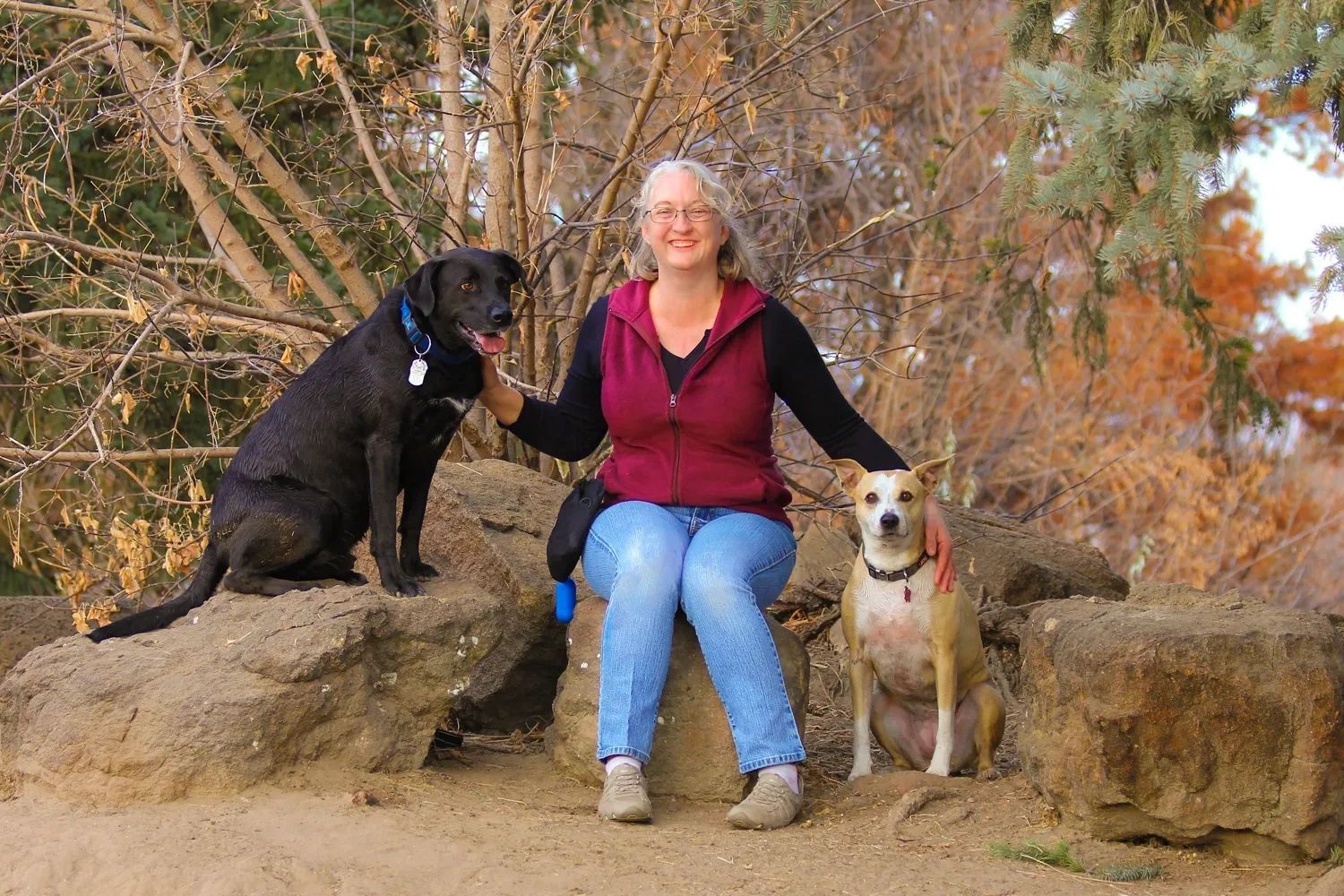 Boise Dog Trainer working with clients pets in Idaho.