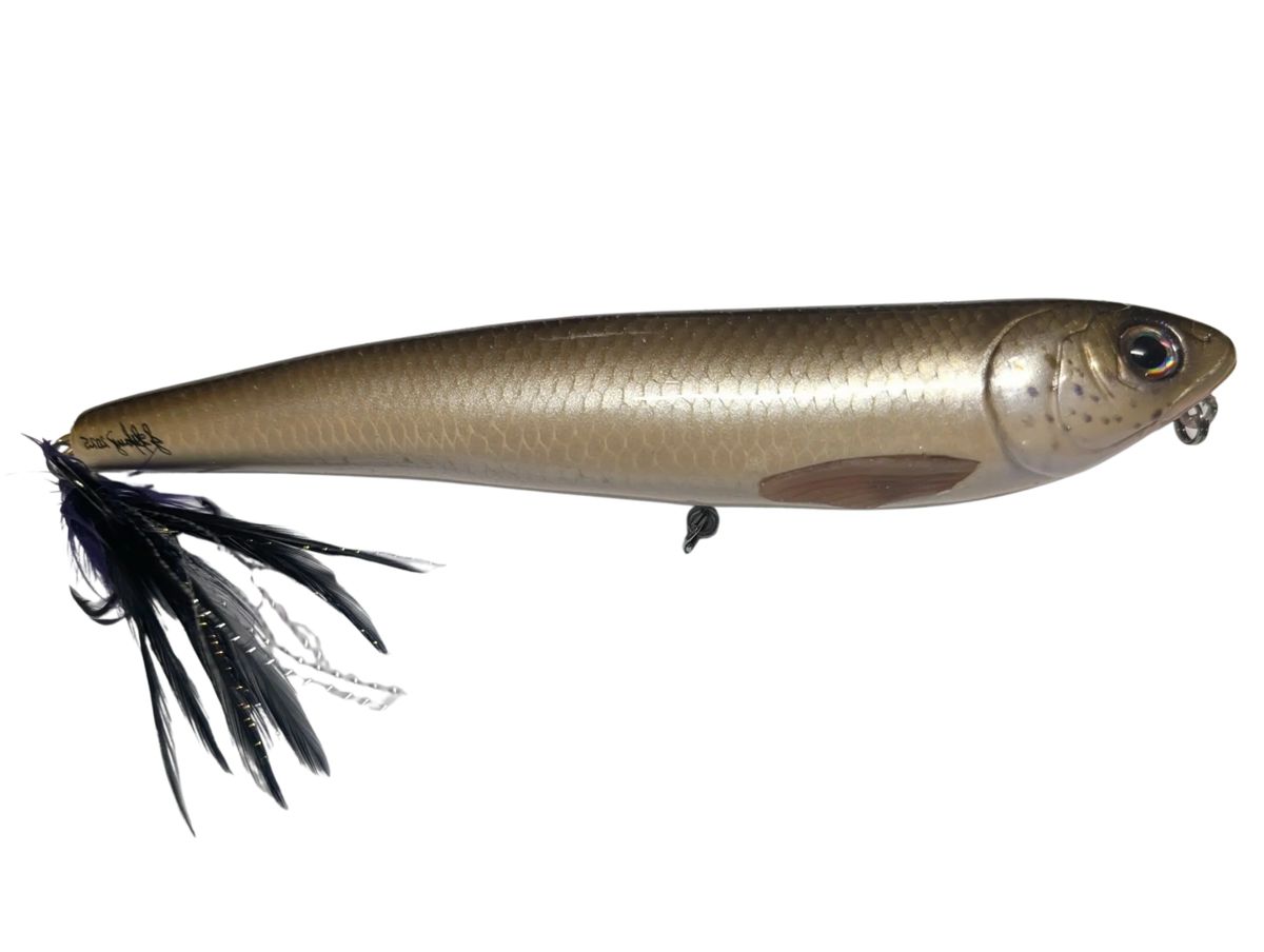 Natural shiner Topwater Walker