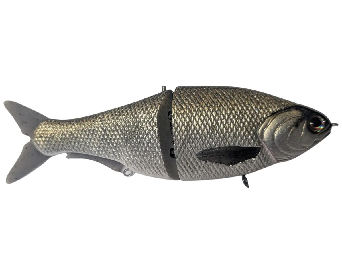 Gold/Silver Shiner Glide