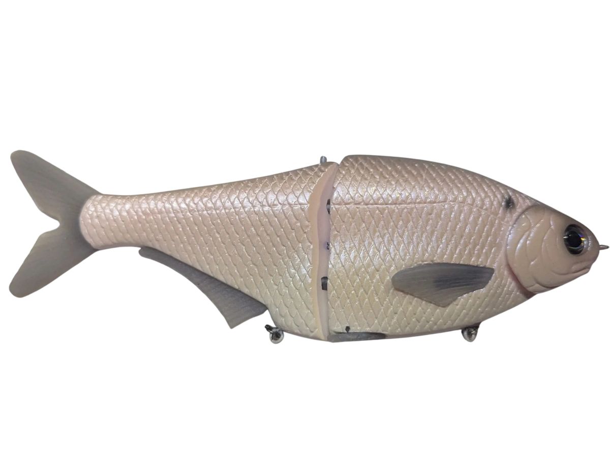 Crew's Blushing Gizzard Shad