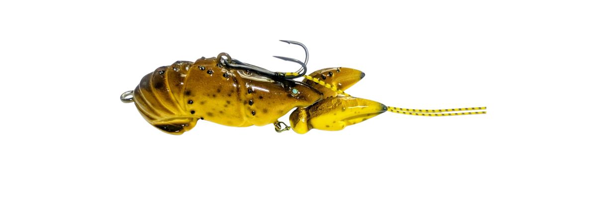 Limited 2026 Bassmaster Classic Bumblebee Phoney Craw