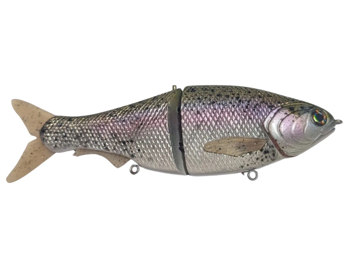 Rainbow Trout shiner glide