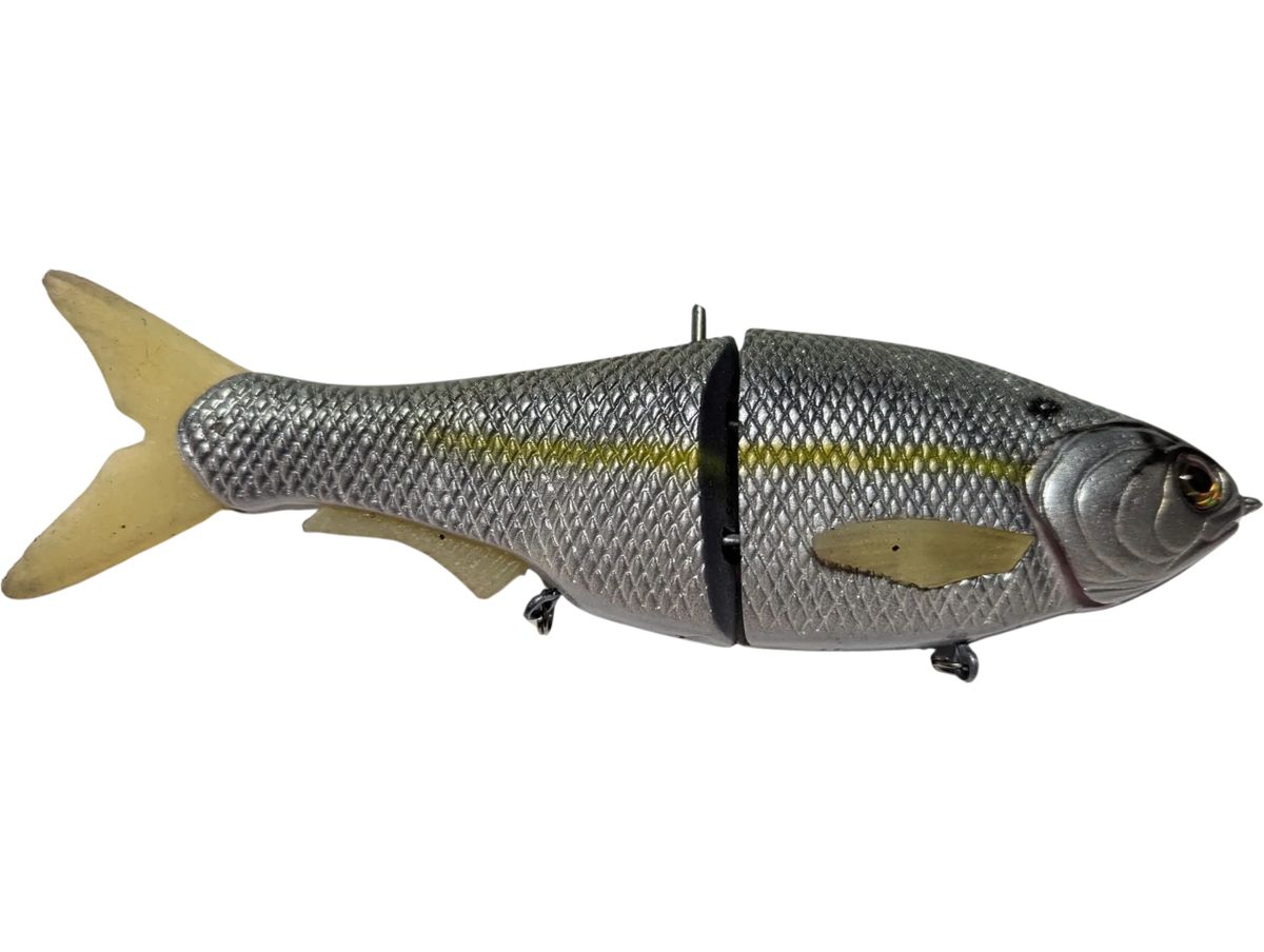 Threadfin Shiner
