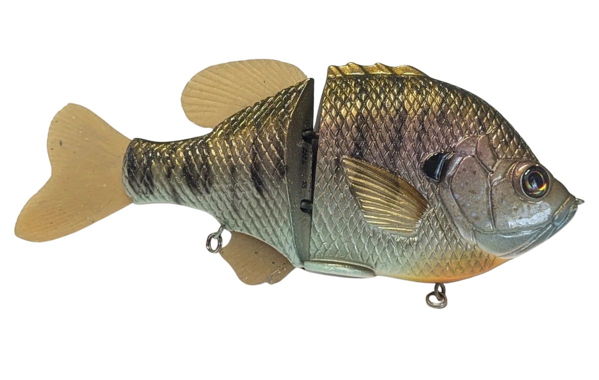 Heavy Weight Bluegill