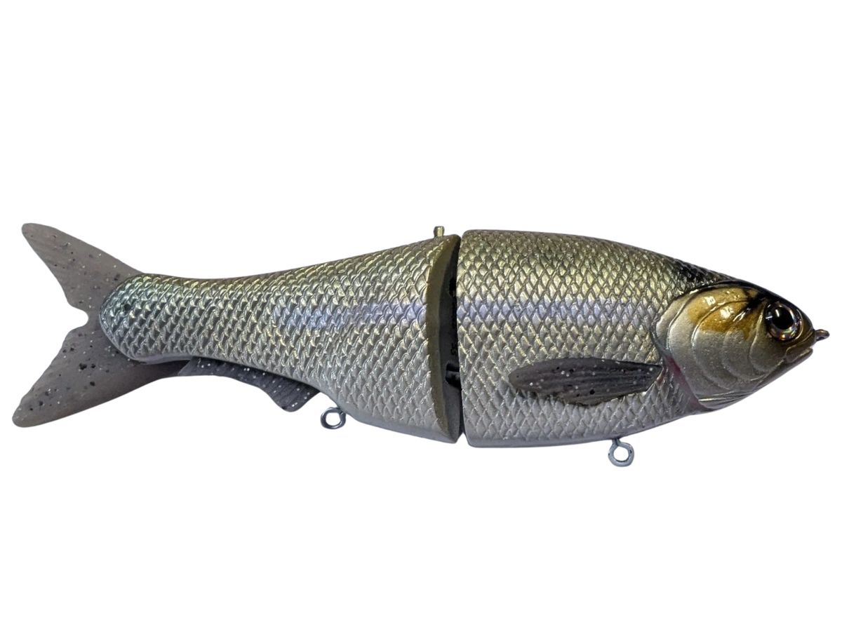 Green Interference Shiner
