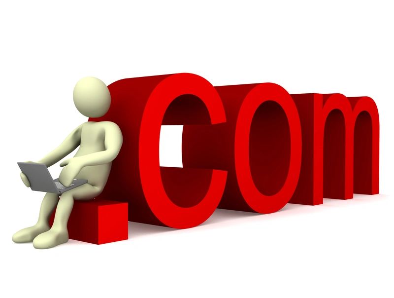 The .com Domain: An Internet Evolutionary Milestone.
