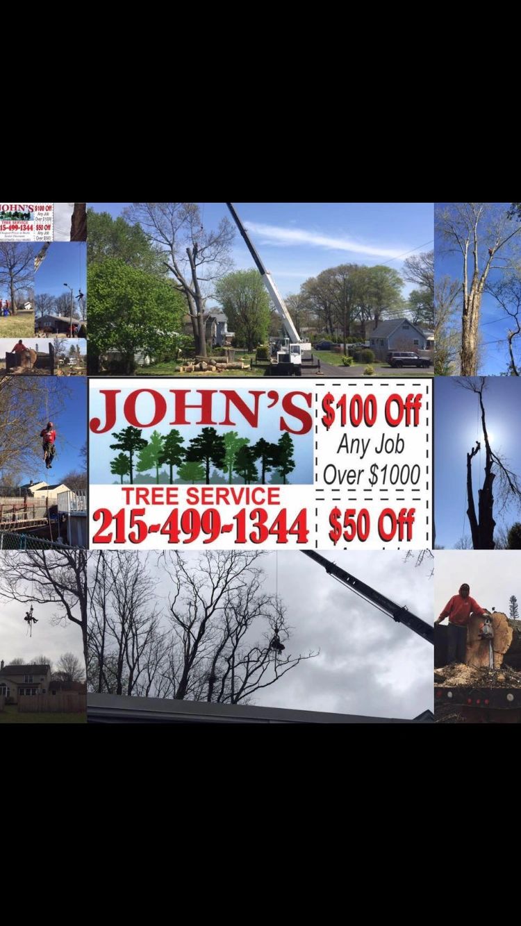 John's Tree Service