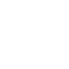 Soul Shoe Project Chicago