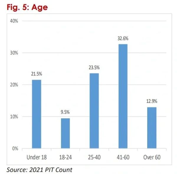 Age demographics PIT 2021 Count