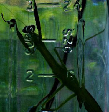 Shadow of a praying mantis on a green measuring jug.