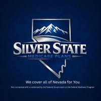 Silverstatemedicareplans.com