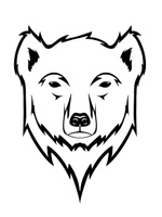 Polarbeats