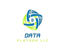 DATA PLATOON LLC