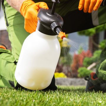 Weed spraying 