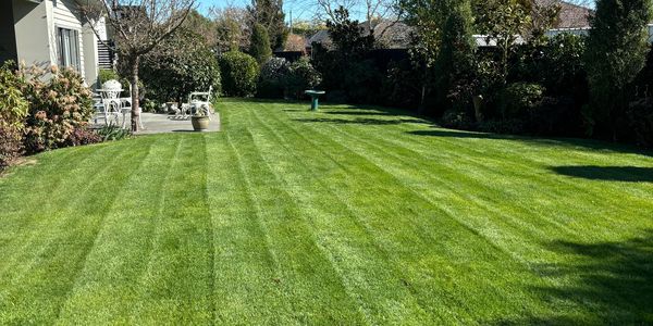 Lawn mowing in Rolleston