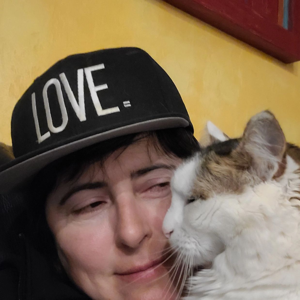 Person wearing a "LOVE" cap cuddling a white and brown cat.