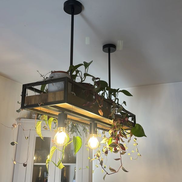Modern hanging light fixture with plants.