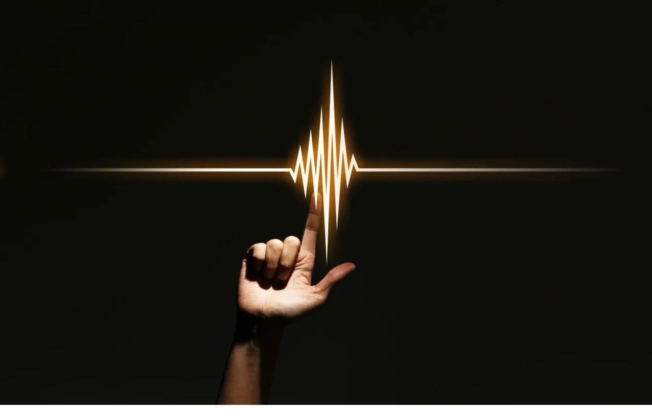 purityaudiodesign.com