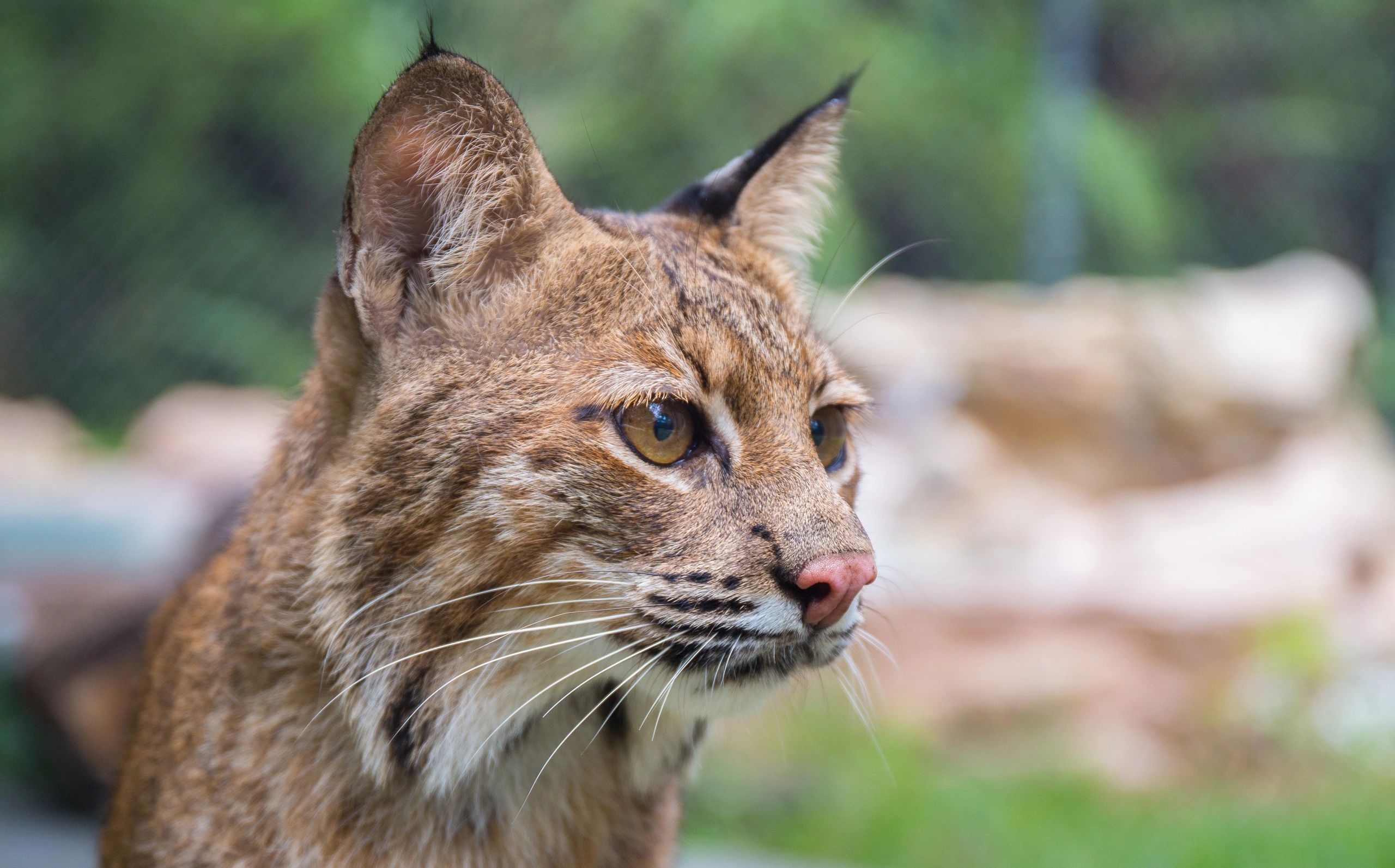 Busch Wildlife Sanctuary - Home