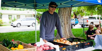 Wellington Colorado Farmers Market booth with vegetables 