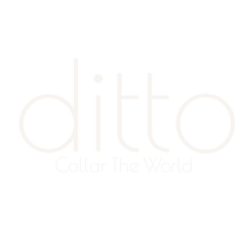 ditto