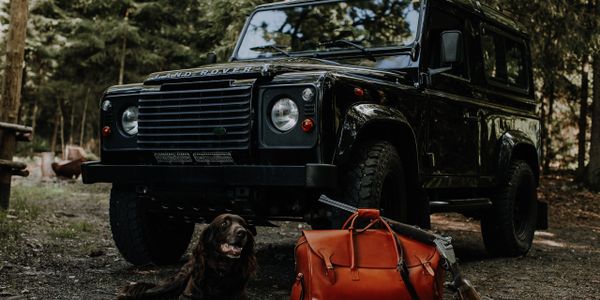 Dog in front of a Land Rover Defender.