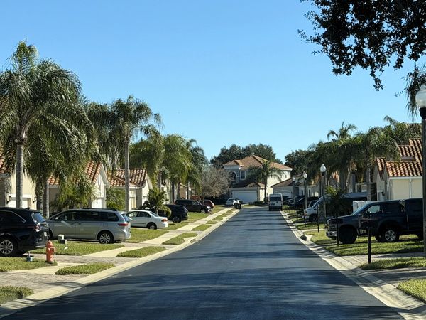 Suburban street lined with palm trees and parked cars under a clear blue sky.