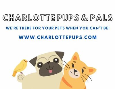 Charlotte pups and pals logo. Charlotte, NC dog walking, cat sitting, pet sitting service