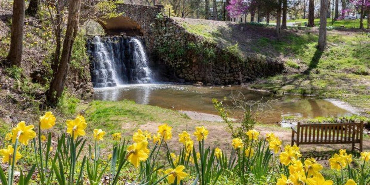 Waterfall and yellow flowers in a park setting.