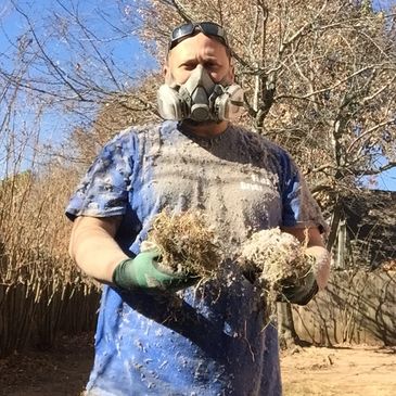 Bird Nest Removal