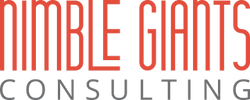Nimble Giants Consulting