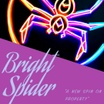brightspider.co.uk