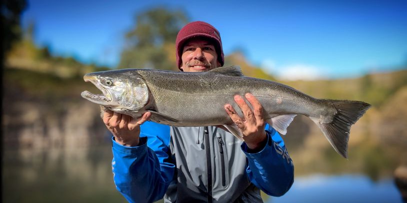 Hatchery Coho Salmon caught by Nick Roberts of Angling Addict PNW