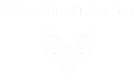 Falcon Fire Protection