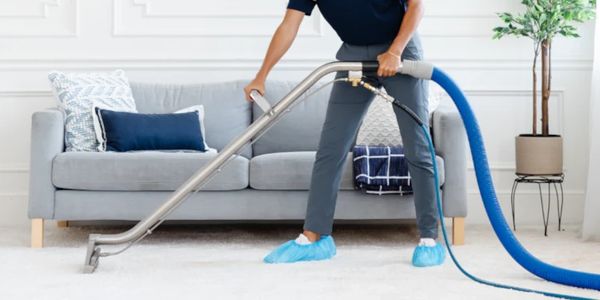 Person professionally cleaning carpet with industrial vacuum in a modern living room.